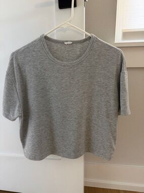 Aritzia Heather Gray Cropped Crewneck Tee